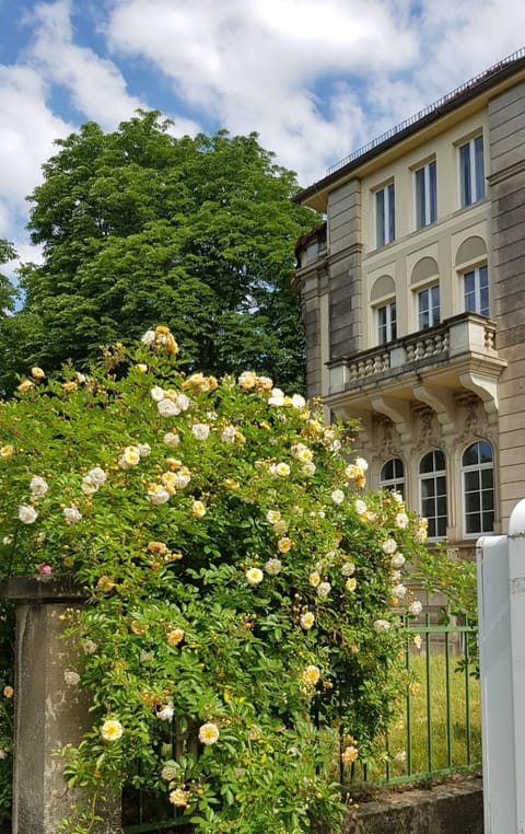 Property building, Garden, Other, Garden view