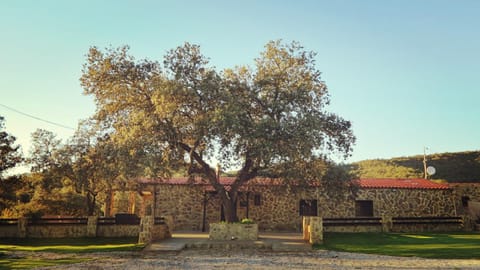 Facade/entrance, Spring, Day, Natural landscape, Garden, Garden view