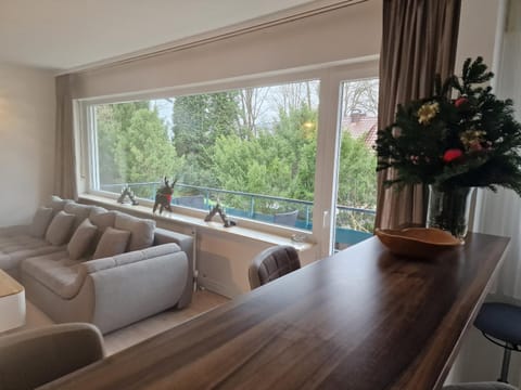 Moscow Areal Suite Apartment in Baden-Baden