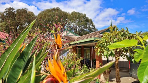 Property building, Garden view