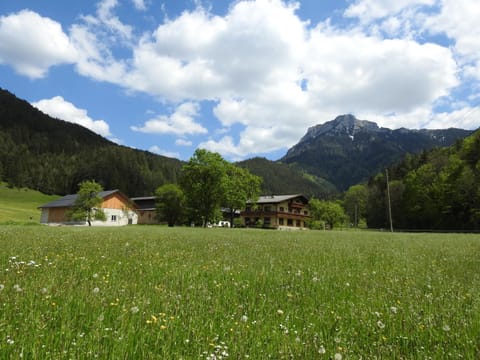 Property building, Natural landscape, Mountain view