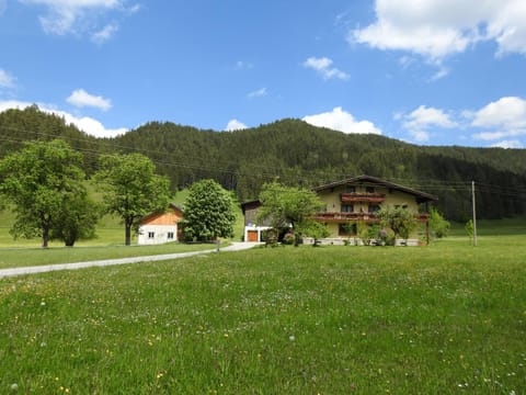 Property building, Natural landscape, Garden