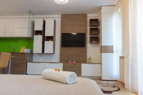 Gold Class Apartment AMS 63 Appartamento in Cluj-Napoca