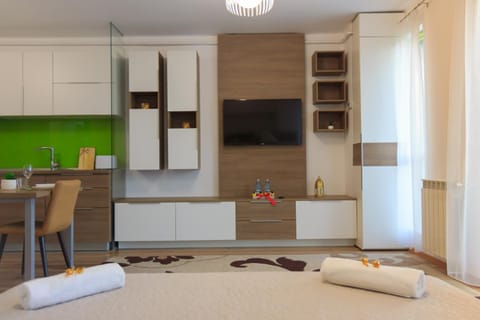 Gold Class Apartment AMS 63 Apartment in Cluj-Napoca