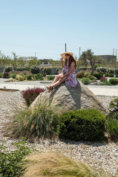 Olives Rocks Naxian Villas Villa in Naxos, Naxos and Lesser Cyclades, Greece