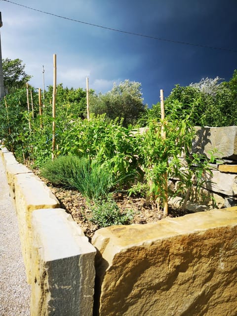 Garden, Garden view