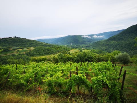 Natural landscape, Hiking