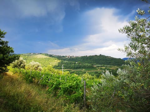 Natural landscape, Hiking