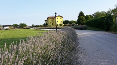 Property building, Garden