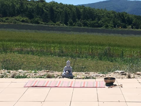 View (from property/room), Garden view