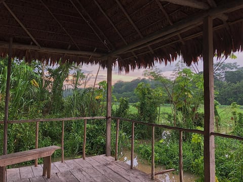 Iguana Lodge Perú Nature lodge in State of Amazonas
