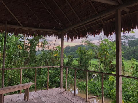 Balcony/Terrace, Garden view, Landmark view, River view