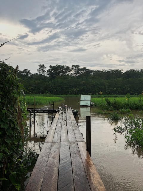 Natural landscape, River view