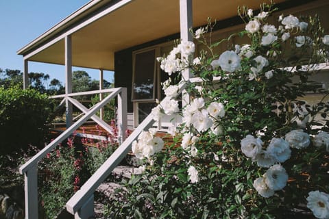 Olivi Bed and Breakfast in Wilsons Promontory