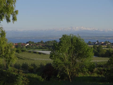 Natural landscape, Lake view, Mountain view