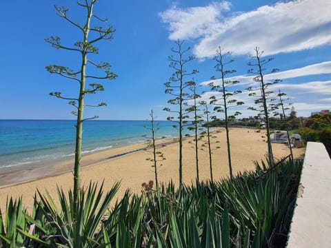 Natural landscape, Beach