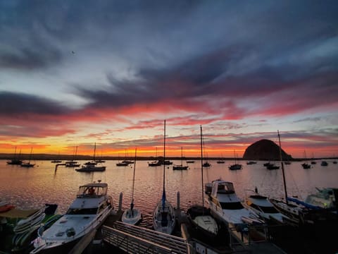Winter, Sea view, Sea view, Sunset