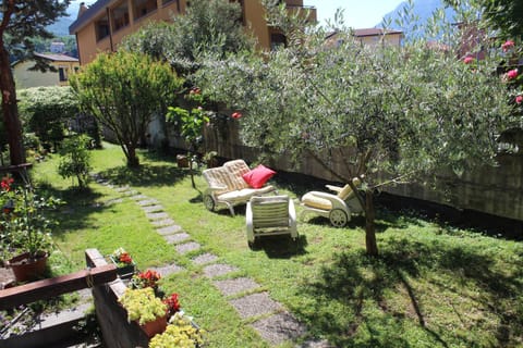 Spring, Garden, Garden view