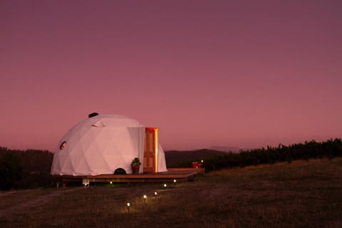 Domescapes in the Vines Luxury tent in Tasmania