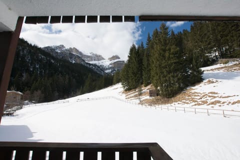 Winter, Mountain view