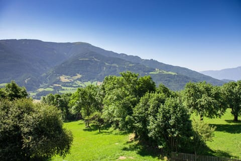 Garden, Balcony/Terrace, Garden view, Mountain view