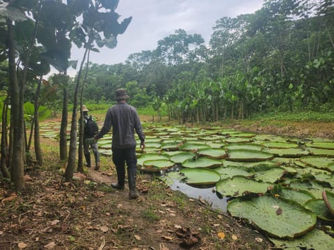 Hospedaje y tours Reina Arriera amazonas colombia Inn in Loreto, Peru