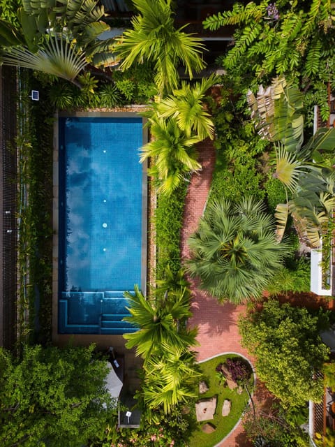 Garden, Garden view, Swimming pool