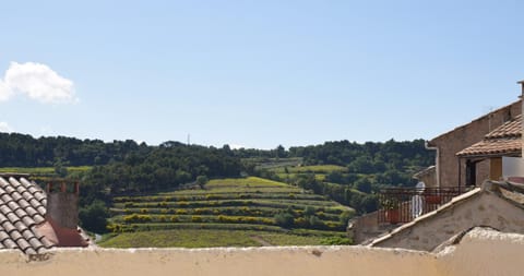 La Demeure de Sophie House in Valréas