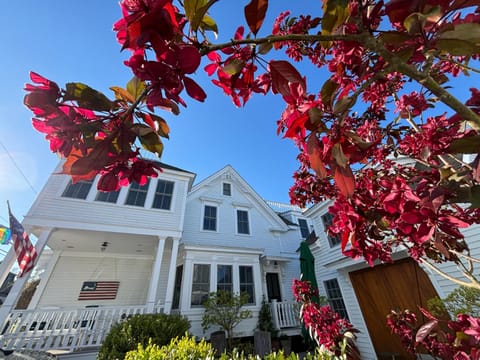 Property building, Spring, Garden, Garden view