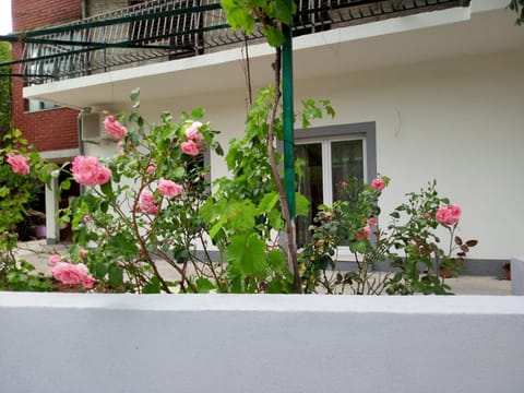 Patio, Facade/entrance, Balcony/Terrace