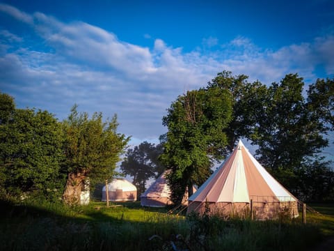 Property building, Summer, On site, Sunrise