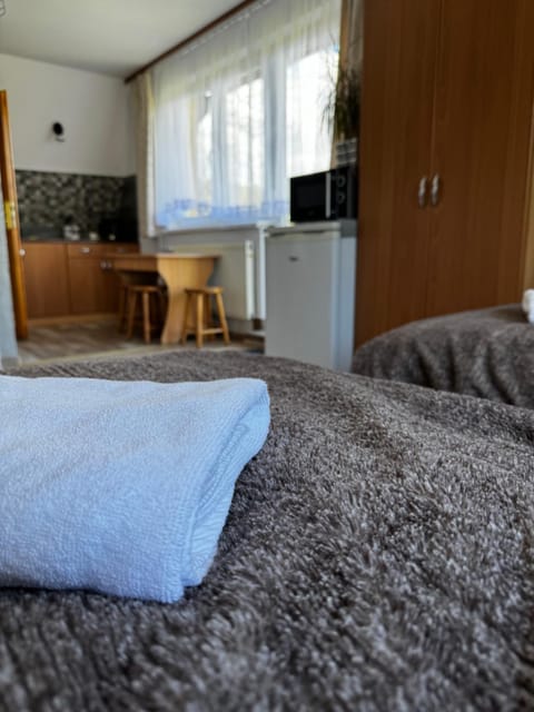 Pokoje i Apartamenty Regionalny Styl ul Króle 1a Zakopane Vacation rental in Zakopane