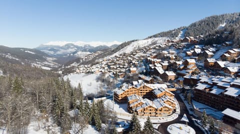 Property building, Nearby landmark, Facade/entrance, Day, Natural landscape, Bird's eye view, Winter, Skiing, On site, City view, Mountain view