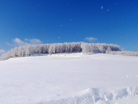 Furano - Hotel / Vacation STAY 35850 Hotel in Furano