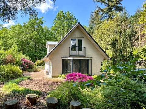 Vakantiehuis Bos en Hei Veluwe Villa in Epe