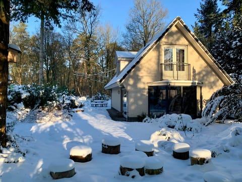 Property building, Winter, Garden