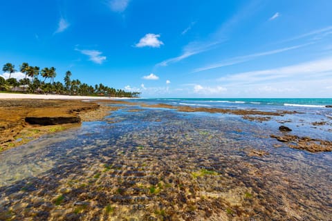 Natural landscape, Sea view