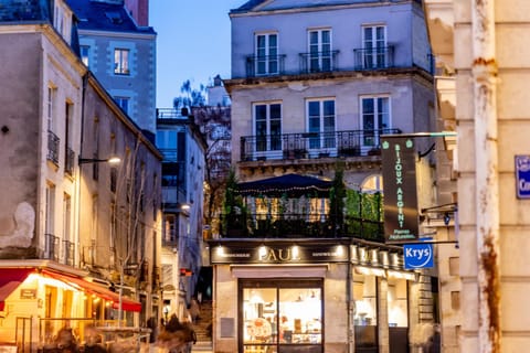 Terrasse Royale au Coeur de Nantes Appartamento in Nantes