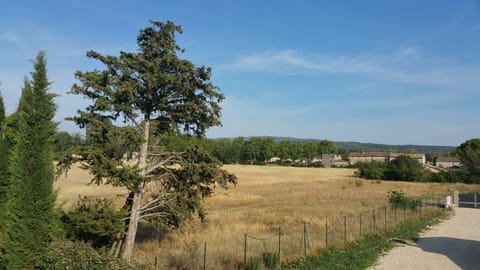 City view, Garden view, Landmark view