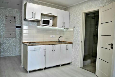 Kitchen or kitchenette, minibar, stove