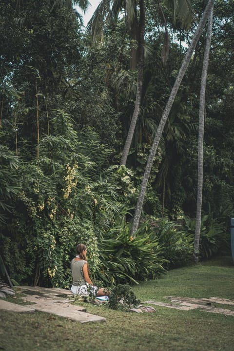 Day, People, Natural landscape, Garden, Garden view, group of guests