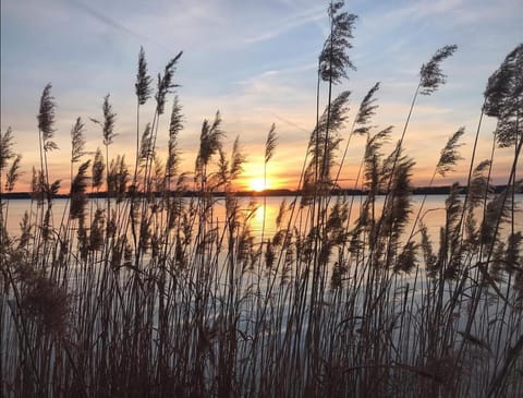 Natural landscape, Lake view, Sunset