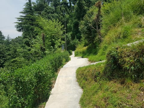 Aditya Homestay Dalhousie Vacation rental in Himachal Pradesh
