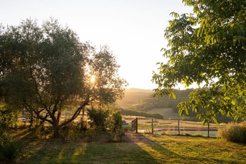 Agriturismo Le Tre Pietre - Podere nel Chianti Farm Stay in Castellina in Chianti