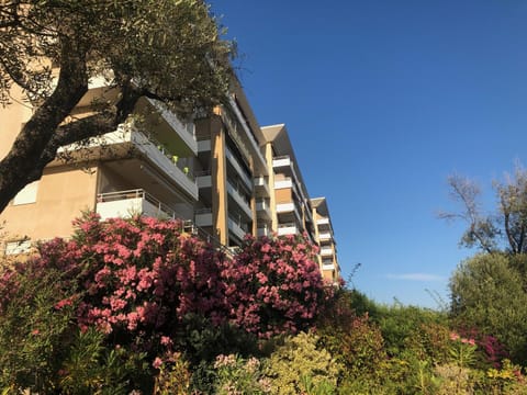 Superbe appartement 3 étoiles Ajaccio début Sanguinaires Condo in Ajaccio