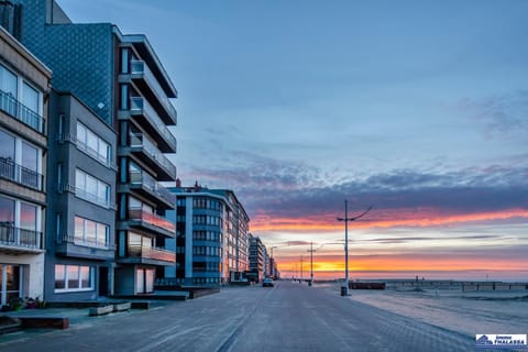 Opale 0101 - 2 bedrooms 6p - sea view - dogfriendly Apartment in Koksijde