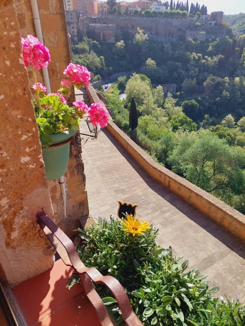 LA YUCCA Maison in Pitigliano