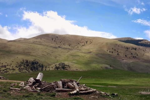 Les Forques de'n Pep Apartment in Berguedà