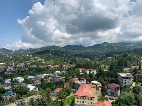 Bird's eye view, City view, Mountain view