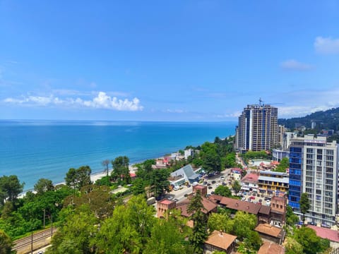 Day, Bird's eye view, City view, Sea view